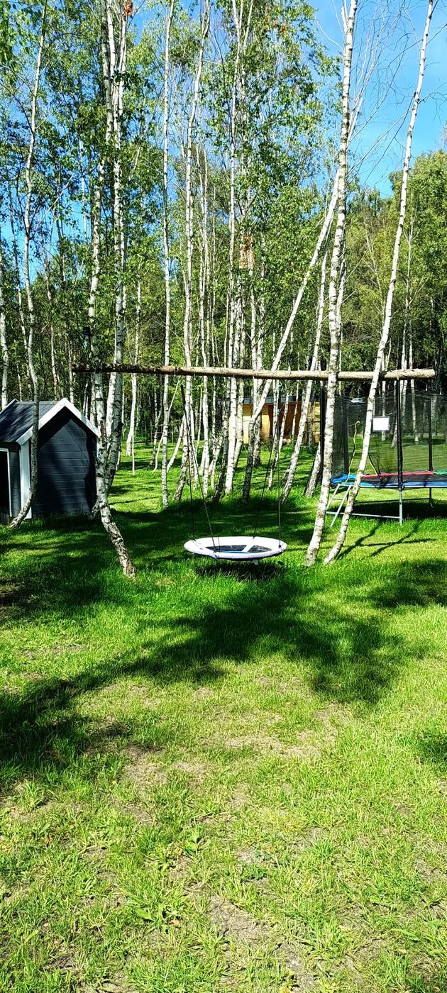 Bocianie gniazdo i trampolina wśród brzóz